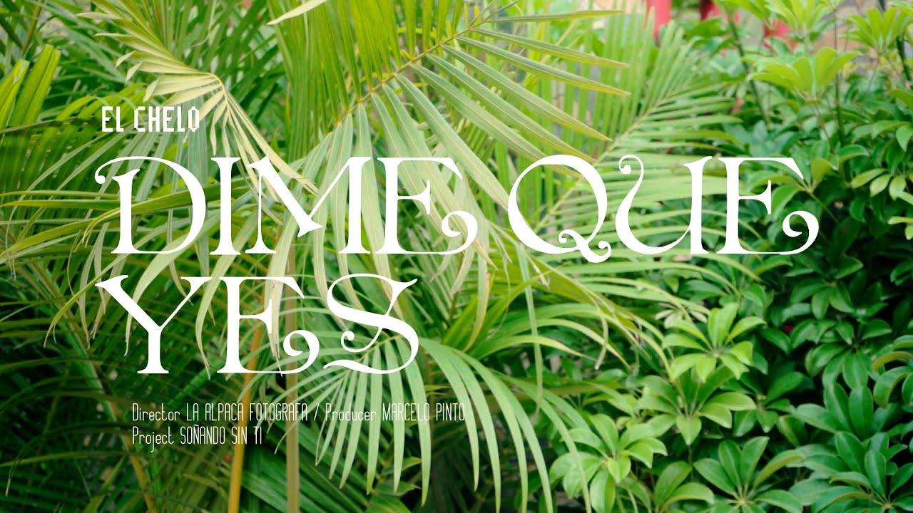 El Chelo - DIME QUE YES (Video Oficial) | SST
