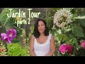 Tour por mí Jardín | Parte 2 | 🌱