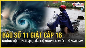 Khẩn 4/10: Bão số 11 giật cấp 16, cường độ hung bạo, Bắc Bộ nguy cơ “mưa dồn gió dập” trên 400mm