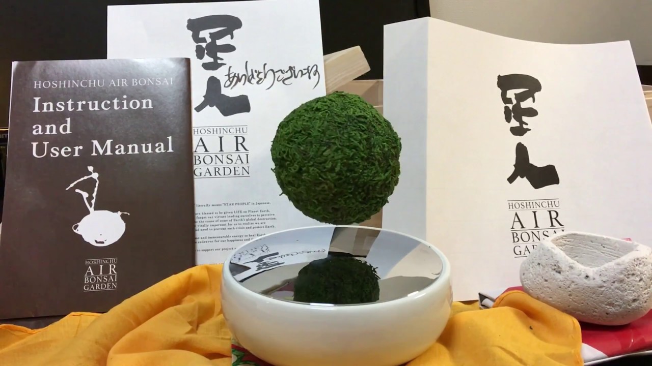 air bonsai floating bonsai tree unboxing review coming soon