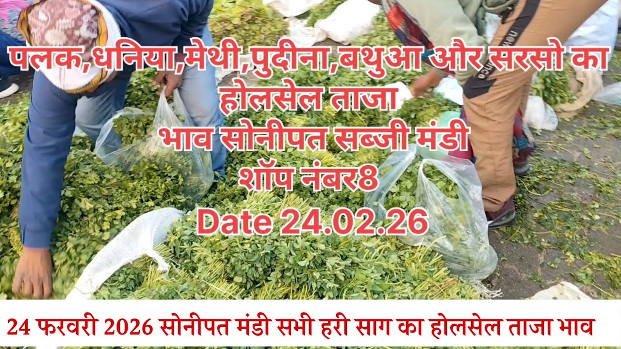 24 फरवरी2026 ☘️☘️☘️सभी हरि सब सांग का होलसेल ताजा भाव सोनीपत सब्जी मंडी