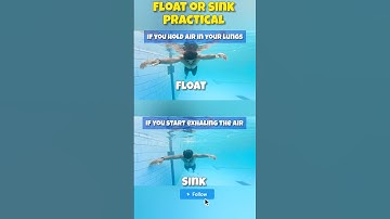Lungs 🫁 are permanent Lifejacket 🦺 Swimming Tips #swimming #float #floating