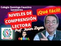 NIVELES DE COMPRENSIÓN PARA PRIMARIA