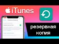 Как сделать резервную копию данных iPhone? Сохраняем данные с помощью iTunes и iCloud