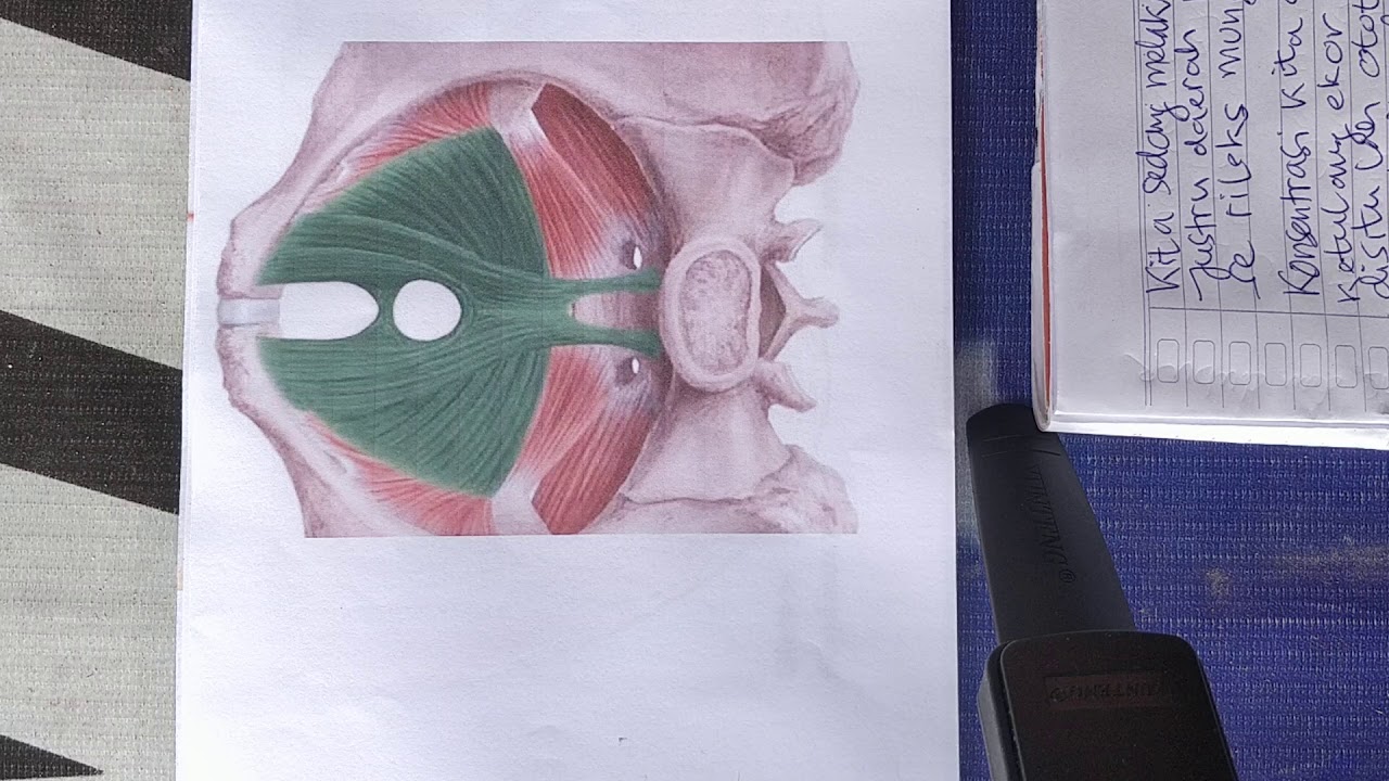 #1.CARA TERKINI MENGATASI EJAKULASI DINI 