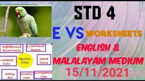 VICTERS CHANNEL STD 4 EVS worksheet 15/11/2021