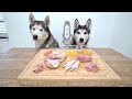 Husky Reviews RAW Chicken Parts With Son!