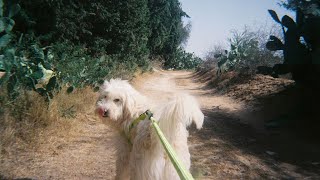 Bamssi Mourad Ben Amor, 2024