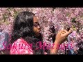 Sakura Matsuri | Cherry Blossom Festival Vlog