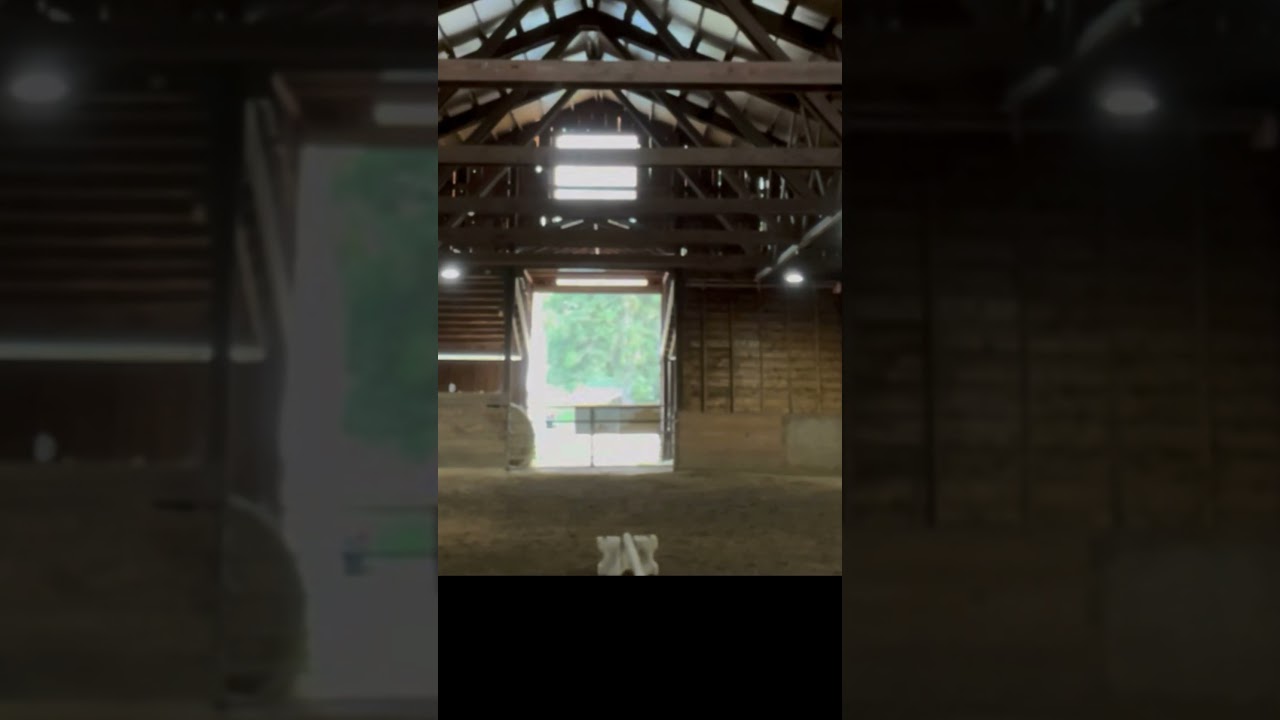 Which discipline is twix? Part 2