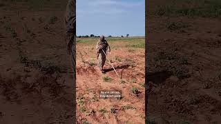El Niño threatens to spread famine across war-torn Sudan