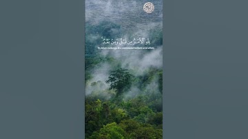 قران كريم  للقارئ الشيخ ياسر الدوسري اكتب شيء تؤجر عليه سبحان الله وبحمدة
