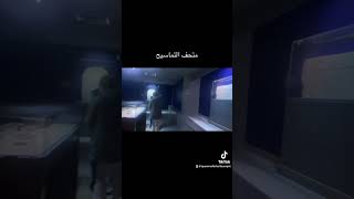 متحف التمساح