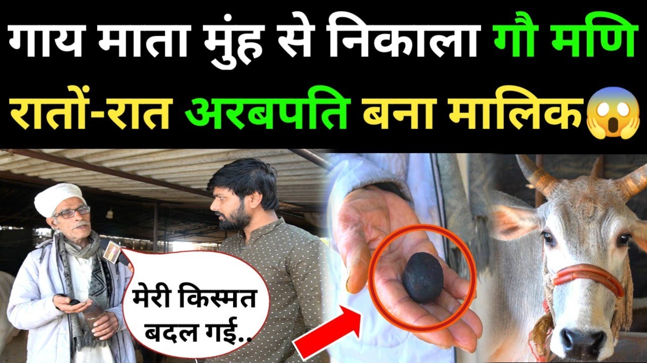 गाय माता ने अपने मुंह से अचानक निकला गौ मणि रातों-रात मालिक बना अरबपति! Siwan