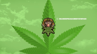 Bearded Pharaoh Live Stream