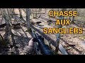 CHASSE AUX SANGLIERS  - Le bon poste !