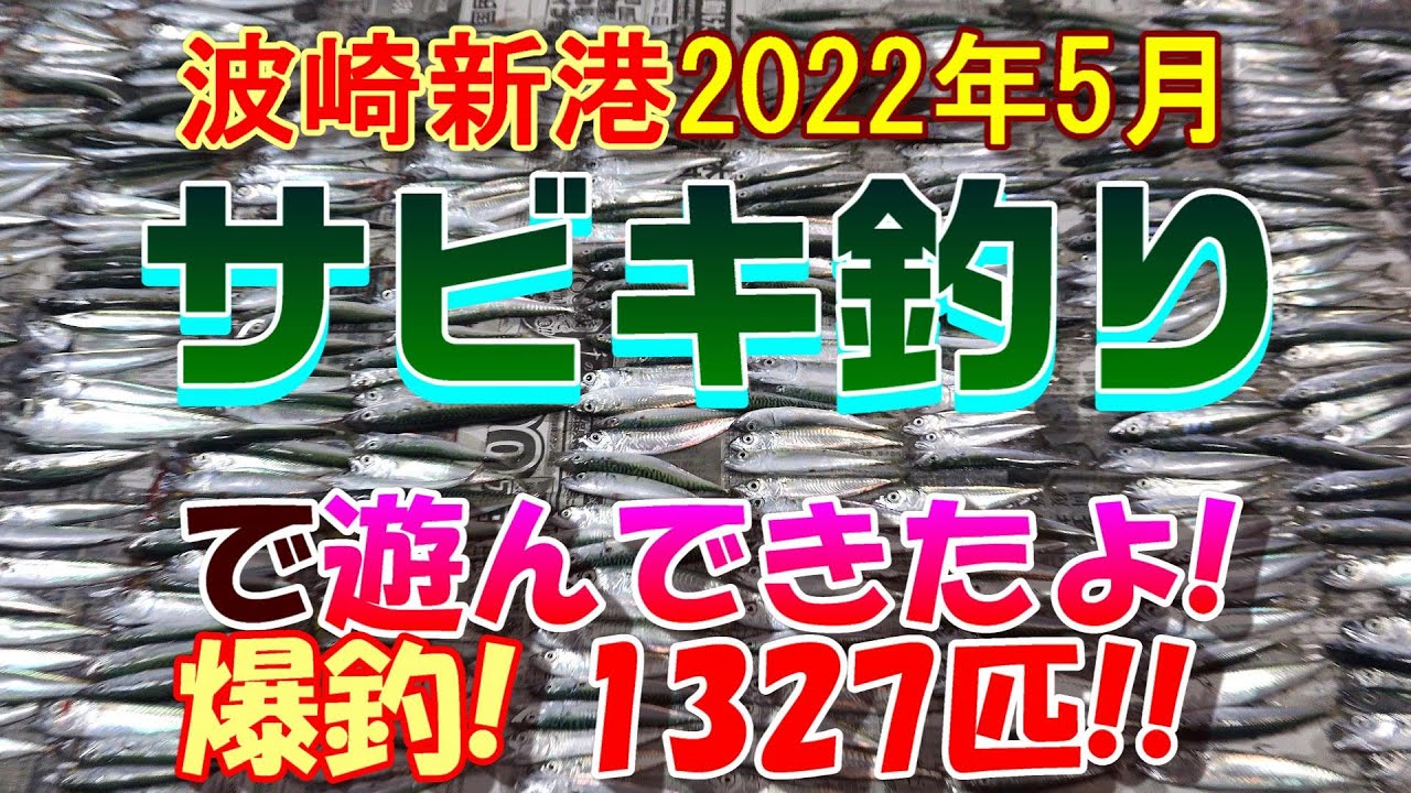 サビキ釣りで遊んできたよ 爆釣1327匹 小サバ祭り 波崎新港22年5月 Youtube