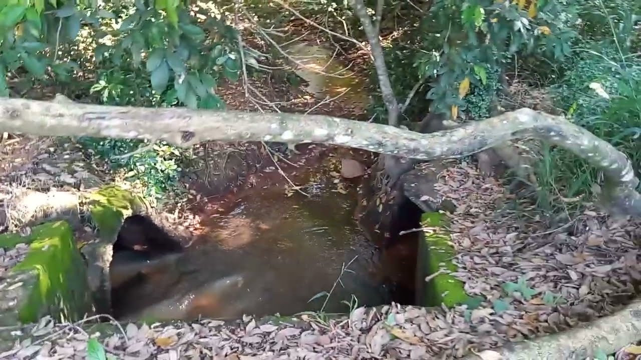 Tour ,vem ver oq eu acheiiii🌿😍🫣