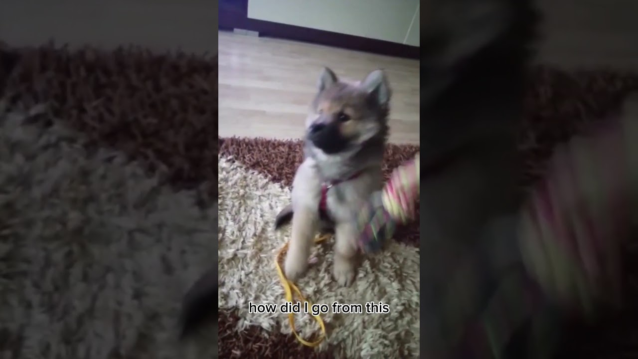 How did this happen so FAST ⏩ 