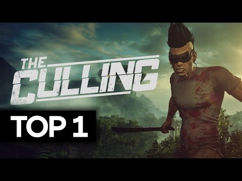 The Culling TOP 1 - Как побеждать?