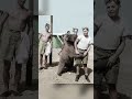 Rare Historical Photos That Will Surprise You