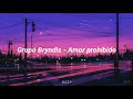 Grupo Bryndis - Amor Prohibido [LETRA]