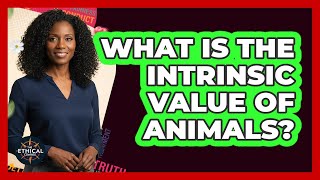 What Is The Intrinsic Value Of Animals - The Ethical Compass