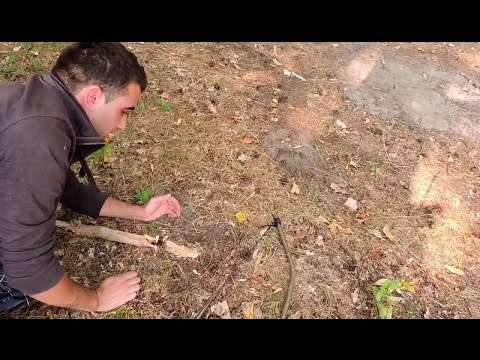 Как разжечь костер без спичек и зажигалки