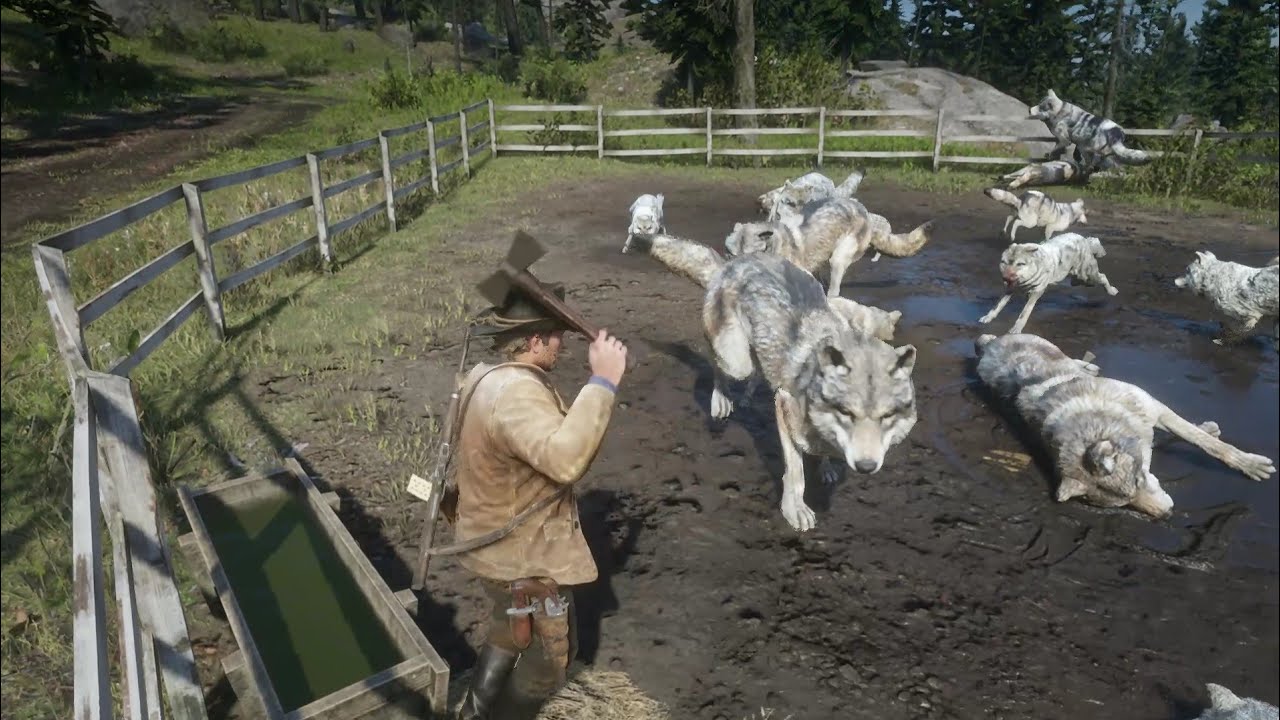 RDR2 - Hunting All Wolves In Farm - YouTube