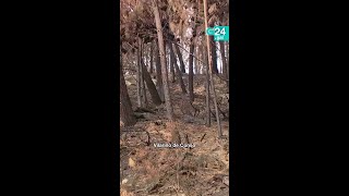 🔥 GALICIA | Xa foron EXTINGUIDOS todos os grandes LUMES de Galicia