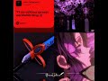 Giyushino edit ✨❤️ #demonslayer #shinobukochoedit #giyutomiokaedit #foryoupageシ #subscribers #likes