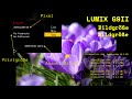 LUMIX G9II einstellen der Bildgröße & Bildqualität