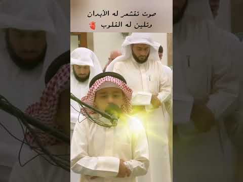صوت عذب تقشعر له الأبدان وتلين له القلوب القرآن الكريم اكسبلور شورت المصحف تيك توك لايك ترند
