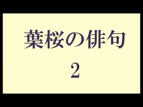 俳句 花 桜 最初のフォーラム