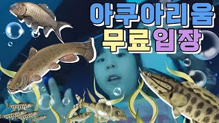 &quot;입장료 무료&quot; 아이들에게 민물고기를 알려주세요 너무나도 행복한시간 아쿠아리움에서 🐠 로디와 함께한 신나는 모험
