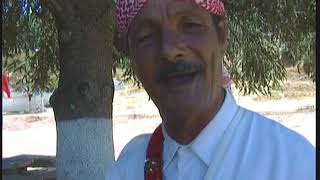 hadad taza