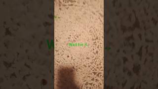 shoes shortfeed youtubeshorts shorts fyp shorts short funny trendingshorts adidas