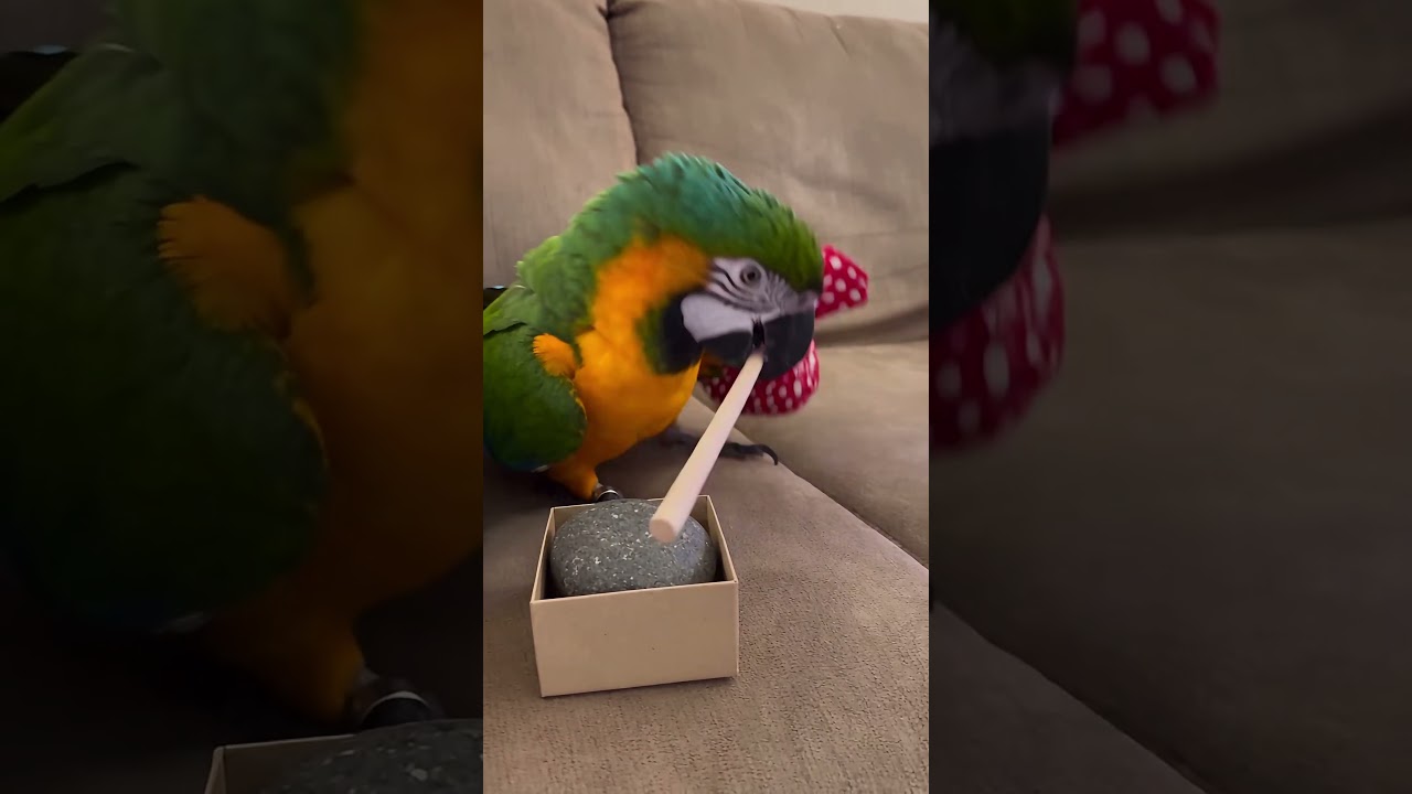 He decided to leave! || Part - 2 #animation #love #funny