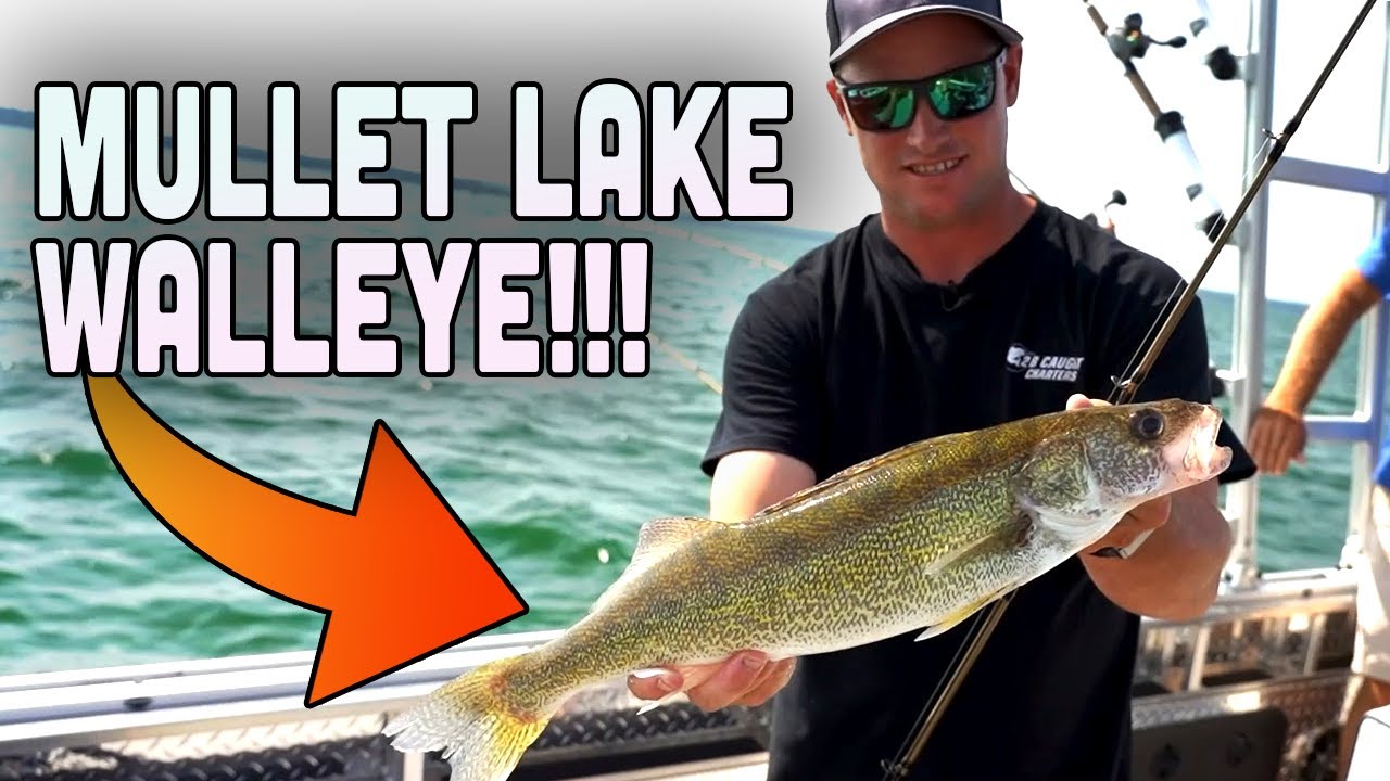 Mullet Lake Walleye Fishing! YouTube