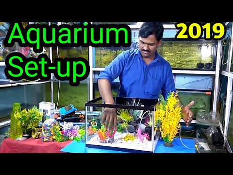 fish-aquarium-decoration-ideas-2019-part-2