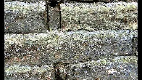 Fuertes Bulnes  VideoFinal  DelaCruz Aracelis