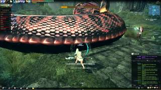 Vindictus ]Mabinogi Heroes : 70-80 Lakiora, staff run