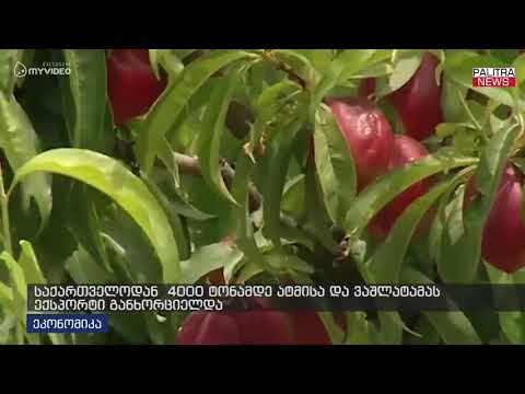 საქართველოდან 400 ტონამადე ატმისა და ვაშლატამას ექსპორტი განხორციელდა