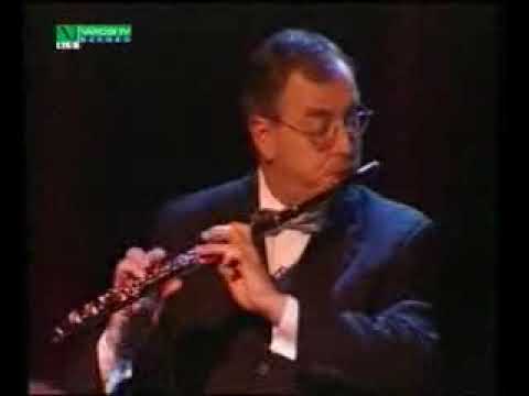 Jnos Blint Bartok Roumanian Folk Dances guitar with flute Szeged 1