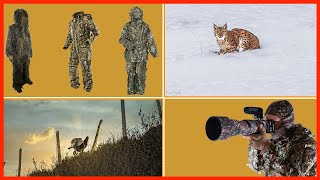 Devenez invisible aux yeux des animaux : les techniques de camouflage pour la photo/vidéo en nature