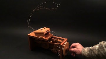 Automata--Zen frog & Firefly