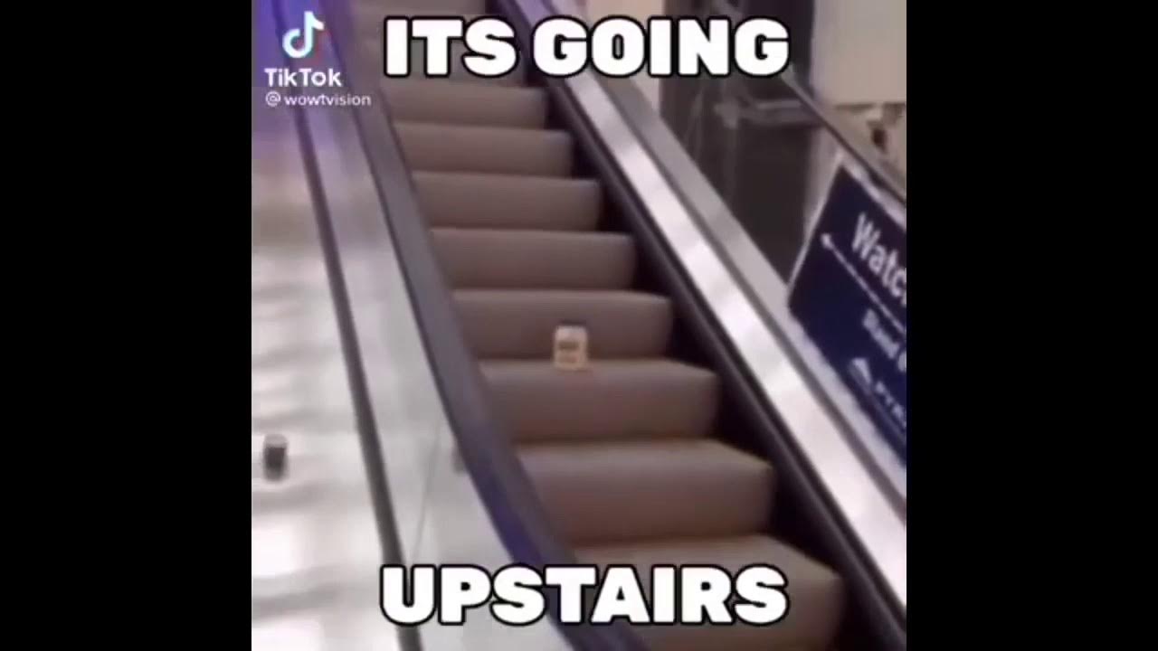 Mayonnaise on an escalator (eARaPe) YouTube