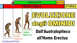 🐒➡🚶🏻‍♂️ L'EVOLUZIONE DEGLI OMINIDI: dall'Australopiteco all'Homo Erectus 🔥 (Storia, Scuola Primaria)