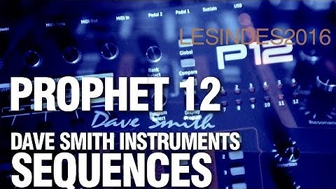 DSI PROPHET 12 // SEQUENCES // Dave Smith Instruments