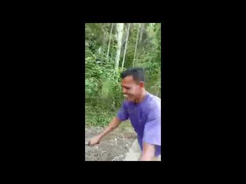 Heboh..!! Mesin Bajak